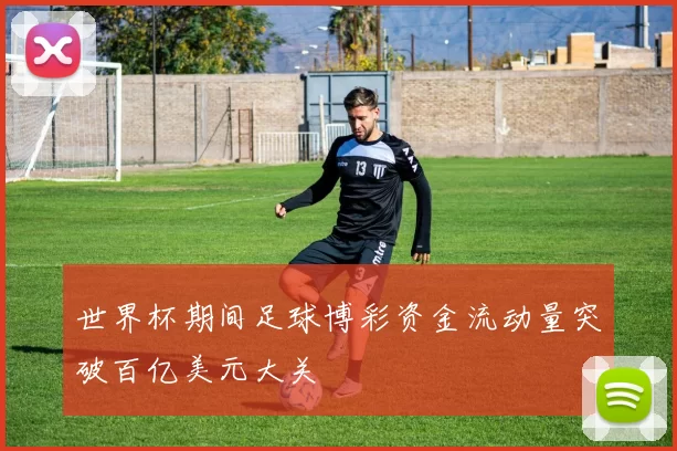 世界杯期间足球博彩资金流动量突破百亿美元大关