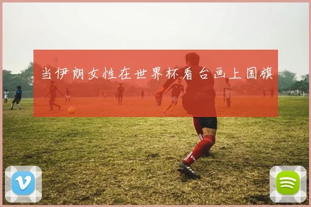 当伊朗女性在世界杯看台画上国旗