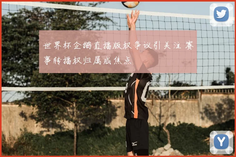 世界杯企鹅直播版权争议引关注 赛事转播权归属成焦点