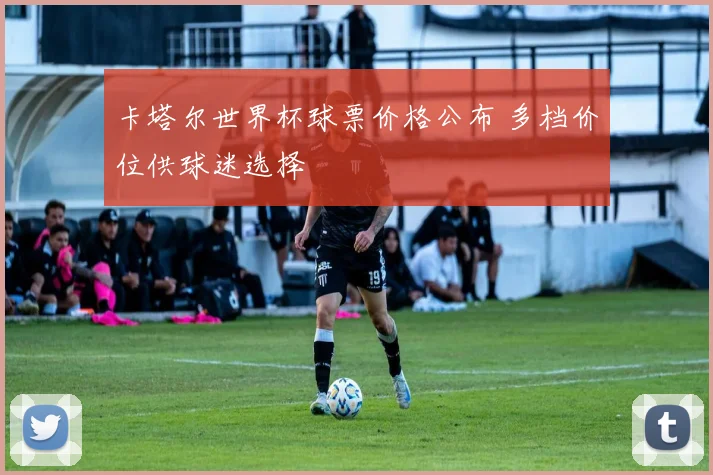 卡塔尔世界杯球票价格公布 多档价位供球迷选择