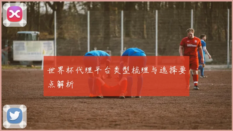 世界杯代理平台类型梳理与选择要点解析