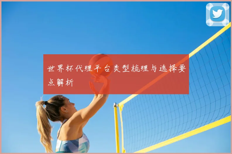 世界杯代理平台类型梳理与选择要点解析