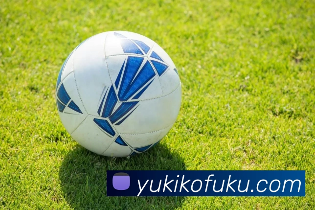 mksports官网APP 体育赛事宣传图